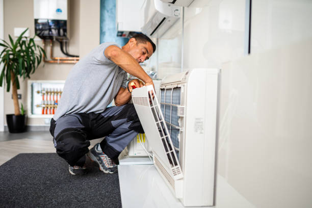 Best Affordable Duct Cleaning Services  in Western Springs, IL