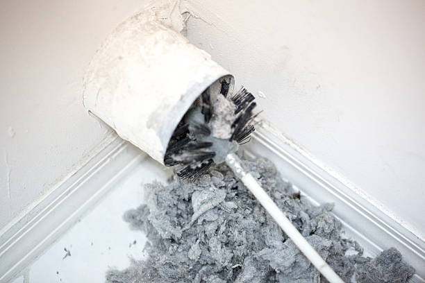 Best Professional Duct Cleaning Services  in Western Springs, IL