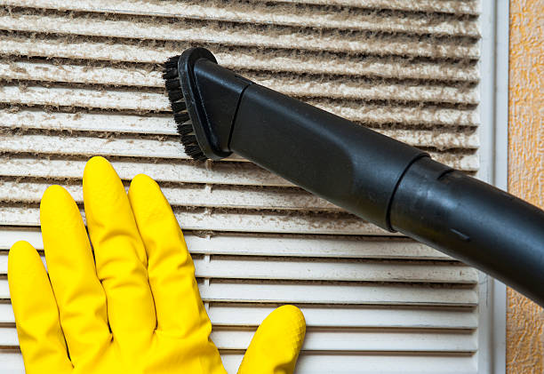 Best Affordable HVAC Duct Cleaning  in Western Springs, IL